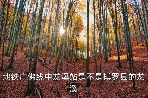 廣州地鐵圖龍溪站，廣州地鐵線三元里站到龍溪站