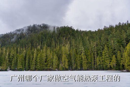 廣州芬尼克茲空氣能熱泵維護廠家，廣州哪個廠家做空氣能熱泵工程的