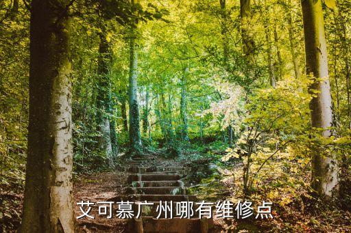 艾可慕廣州哪有維修點