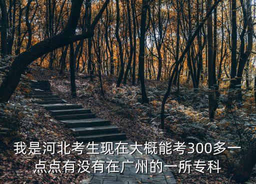 我是河北考生現在大概能考300多一點點有沒有在廣州的一所專科