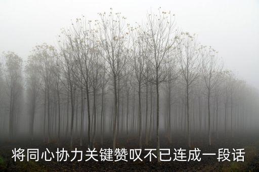 將同心協(xié)力關鍵贊嘆不已連成一段話