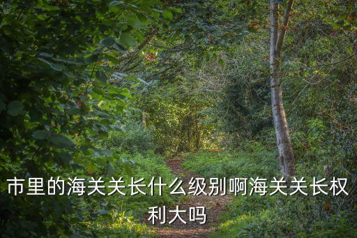 廣州海關關長權利，市里的海關關長什么級別啊海關關長權利大嗎