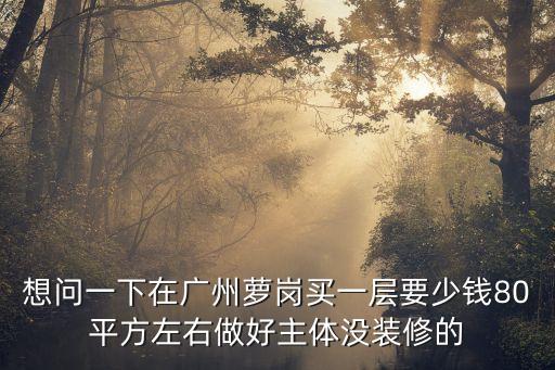想問一下在廣州蘿崗買一層要少錢80平方左右做好主體沒裝修的