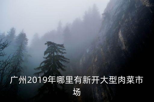 廣州2019年哪里有新開大型肉菜市場