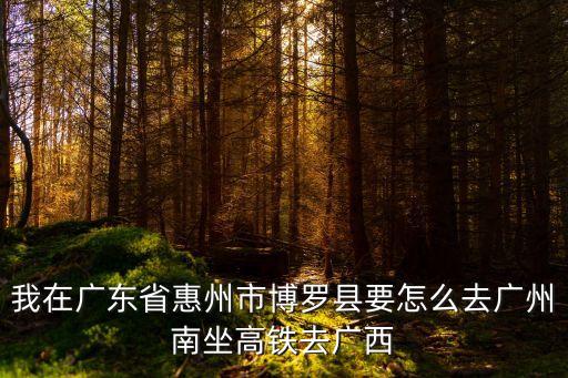 博羅縣至廣州南高鐵票，我在廣東省惠州市博羅縣要怎么去廣州南坐高鐵去廣西