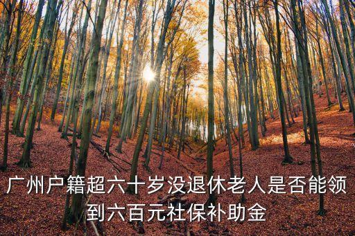 廣州老年人新政策，廣州60歲的老人有什么待遇