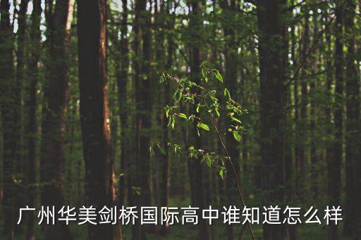 廣州華美劍橋國際高中誰知道怎么樣