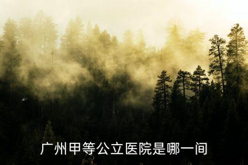 廣州甲等公立醫院是哪一間