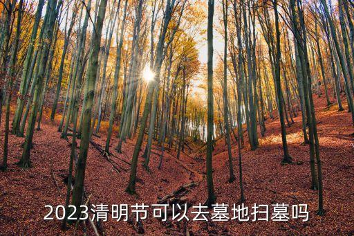 廣州民政清明節掃墓預約平臺，廣州市民政局