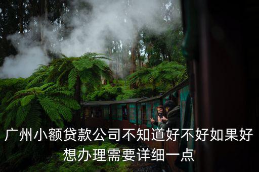 廣州小額貸款公司不知道好不好如果好想辦理需要詳細(xì)一點(diǎn)