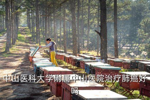 廣州中山醫(yī)院能治肺癌嗎，中山醫(yī)科大學附屬中山醫(yī)院治療肺癌好嗎