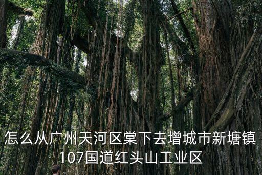 怎么從廣州天河區棠下去增城市新塘鎮107國道紅頭山工業區