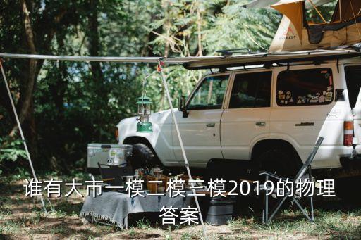 2019廣州模擬理綜物理，誰有大市一模二模三模2019的物理答案