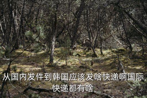 廣州發貨到韓國用什么國際快遞好，從國內發件到韓國應該發啥快遞啊國際快遞都有啥