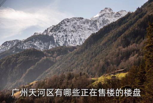 廣州市天河區珠江新城在售樓盤，廣州天河區有哪些正在售樓的樓盤