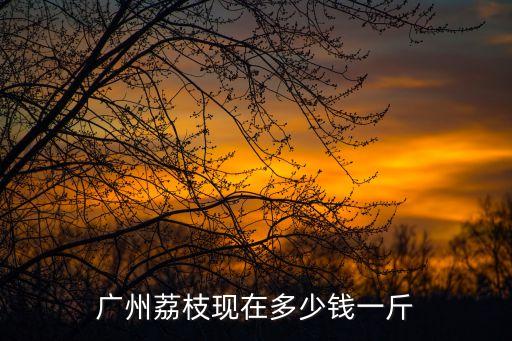 廣州花都荔枝價格，廣州市水果批發市場荔枝多少錢一公斤