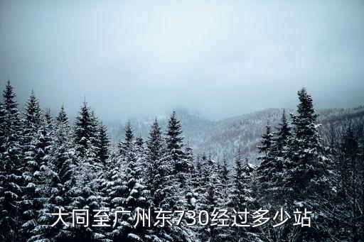 大同k731廣州東途經幾個站，大同至廣州東730經過多少站
