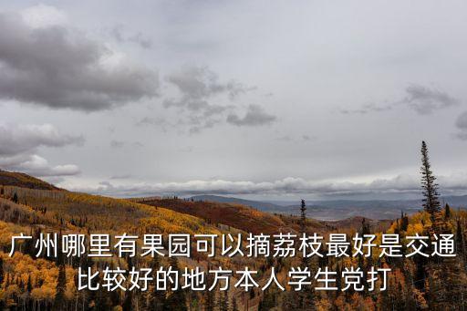 廣州三月紅荔枝果園，廣州哪里有果園可以摘荔枝最好是交通比較好的地方本人學生黨打