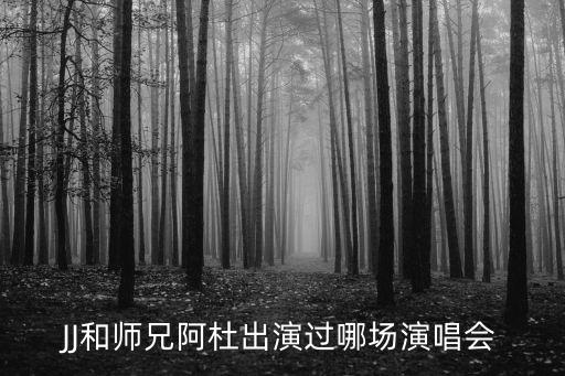 JJ和師兄阿杜出演過哪場演唱會