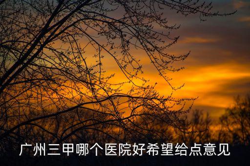 廣州三甲哪個醫(yī)院好希望給點意見