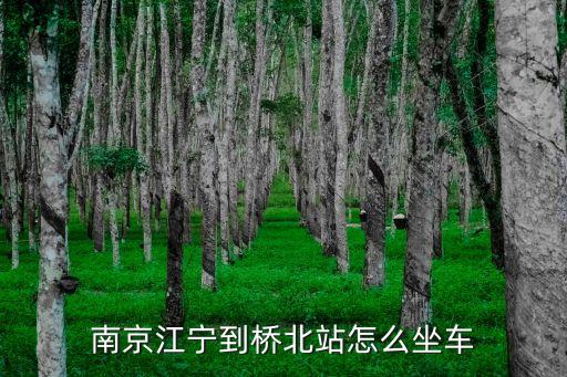 南京江寧到橋北站怎么坐車