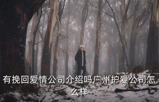 廣州愛情挽回咨詢機構，有挽回愛情公司介紹嗎廣州護愛公司怎么樣