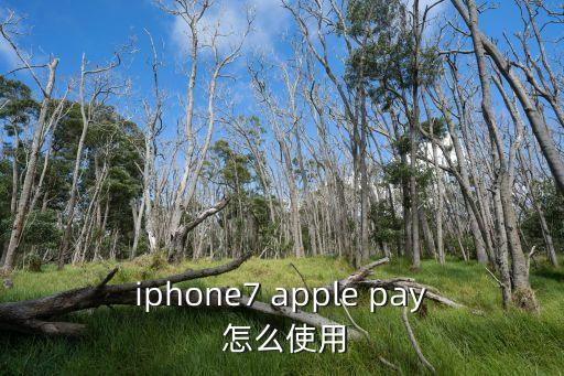 廣州 7仔 apple pay，ApplePay怎么用