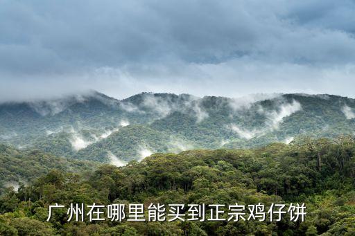 廣州在哪里能買到正宗雞仔餅
