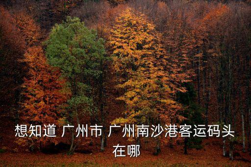 廣州南沙封碼頭，想知道 廣州市 廣州南沙港客運碼頭 在哪