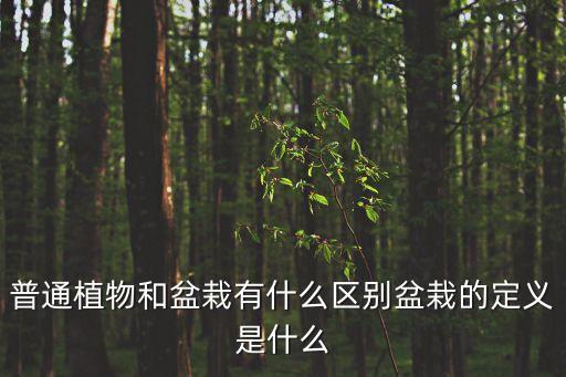 普通植物和盆栽有什么區(qū)別盆栽的定義是什么