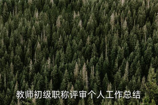 教師初級職稱評審個人工作總結