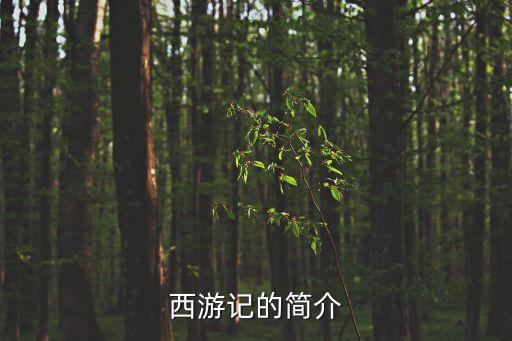 介紹西游記，西游記的簡介