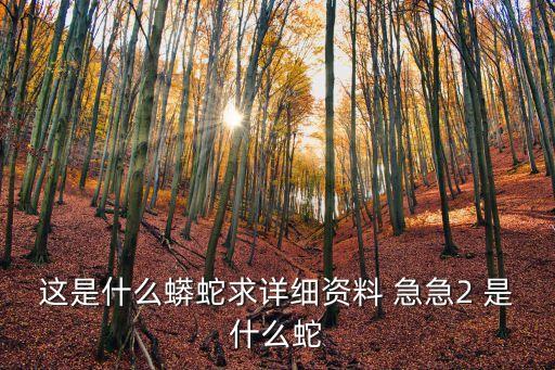 這是什么蟒蛇求詳細資料 急急2 是什么蛇