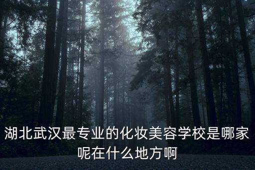 湖北武漢最專業(yè)的化妝美容學(xué)校是哪家呢在什么地方啊