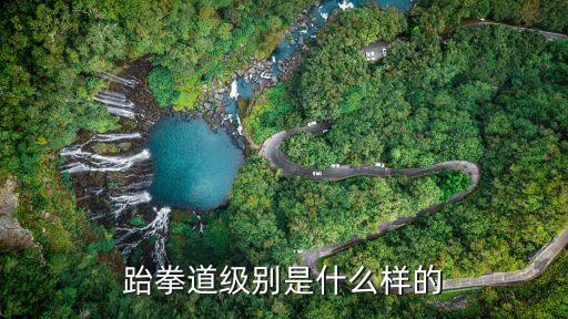 跆拳道等級劃分，跆拳道級別是什么樣的