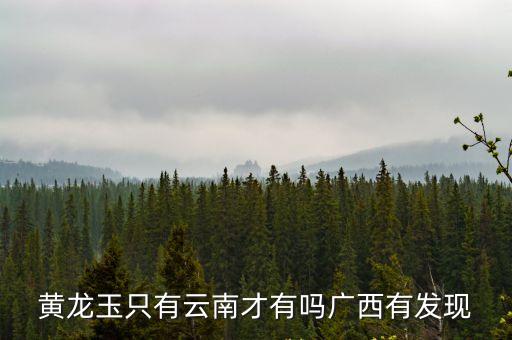 黃龍玉圖片，中國只有龍陵有黃龍玉嗎