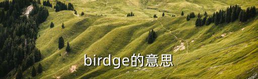 birdge的意思