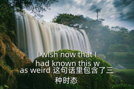 wish虛擬語氣的三種時態，wish關于虛擬語態的用法 什么時候用過去時 什么時候用過去完成時