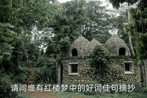 紅樓夢的好詞好句，請問誰有紅樓夢中的好詞佳句摘抄