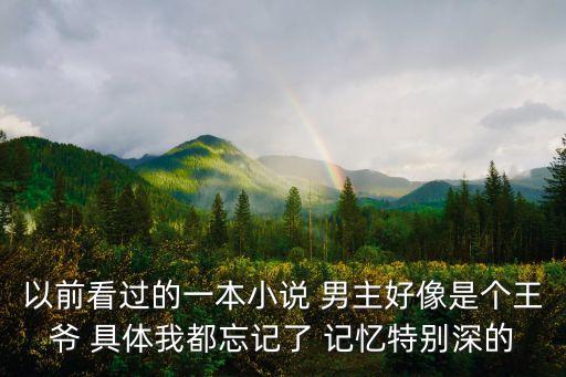 以前看過的一本小說 男主好像是個王爺 具體我都忘記了 記憶特別深的