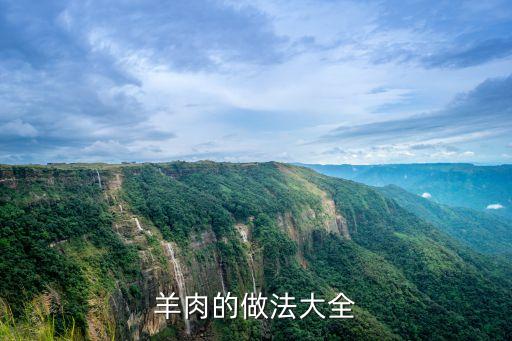 羊肉的做法大全