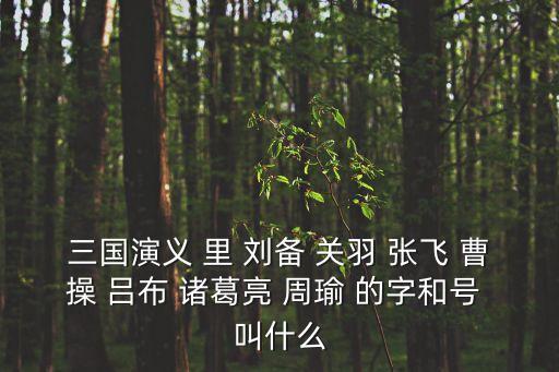 三國演義 里 劉備 關羽 張飛 曹操 呂布 諸葛亮 周瑜 的字和號 叫什么