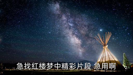 紅樓夢片段，紅樓夢有哪些片段