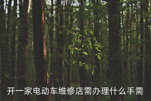開(kāi)一家電動(dòng)車(chē)維修店需辦理什么手需