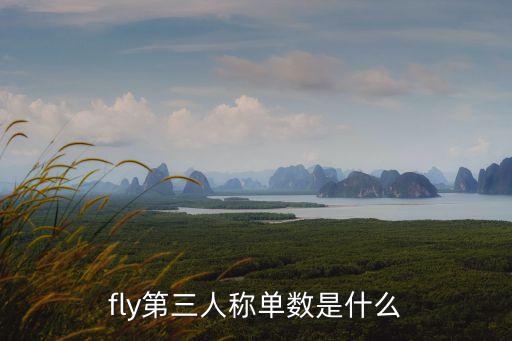 fly第三人稱單數是什么