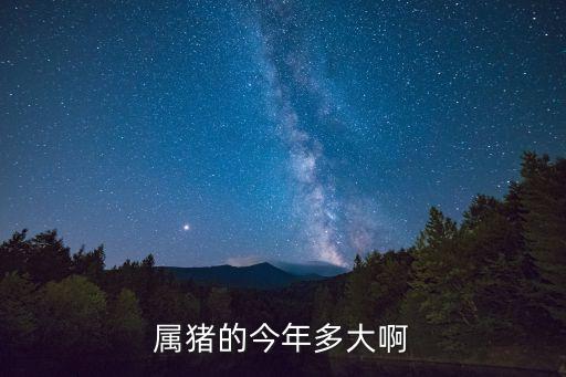 屬豬多大，屬豬的年齡