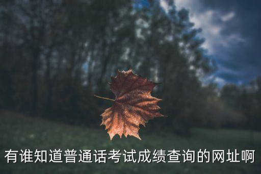 普通話成績查詢入口官網，上海普通話考試成績查詢網址是什麼