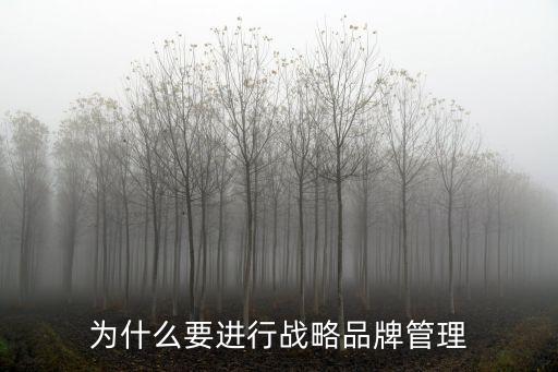 為什么要進行戰略品牌管理