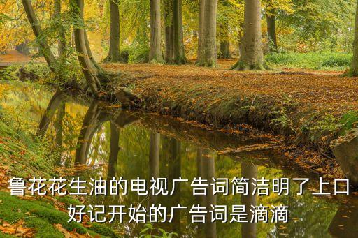 魯花花生油廣告，魯花花生油的電視廣告詞簡潔明了上口好記開始的廣告詞是滴滴