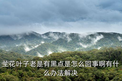 蘭花葉子老是有黑點是怎么回事啊有什么辦法解決